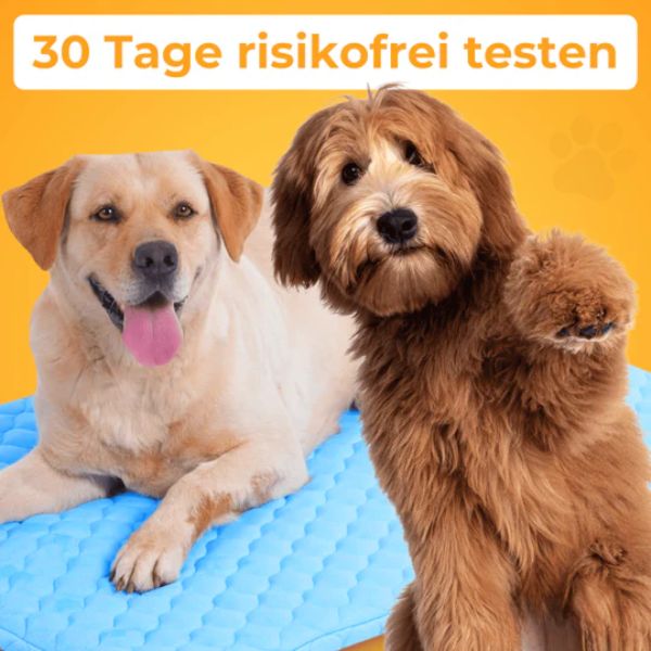 PfotenFrost - Der Bestseller