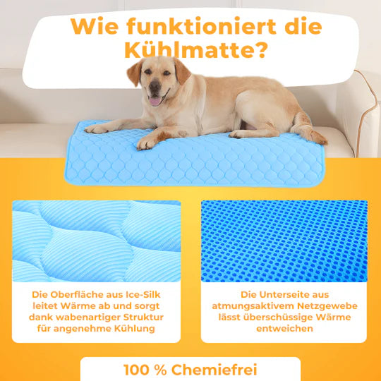 PfotenFrost - Der Bestseller