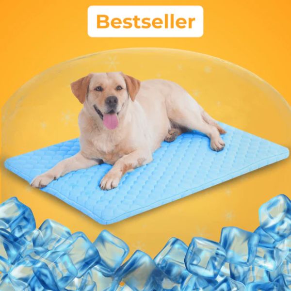 PfotenFrost - Der Bestseller
