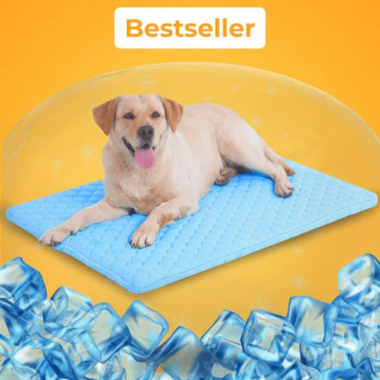 PfotenFrost - Der Bestseller