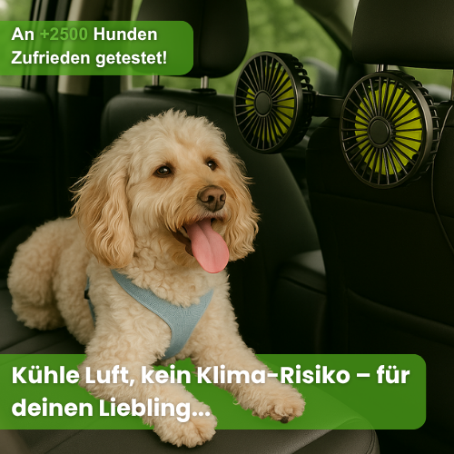 Ventilator für Hunde im Auto – USB mit Doppellüfter