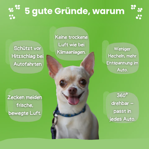 Ventilator für Hunde im Auto – USB mit Doppellüfter