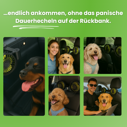 Ventilator für Hunde im Auto – USB mit Doppellüfter
