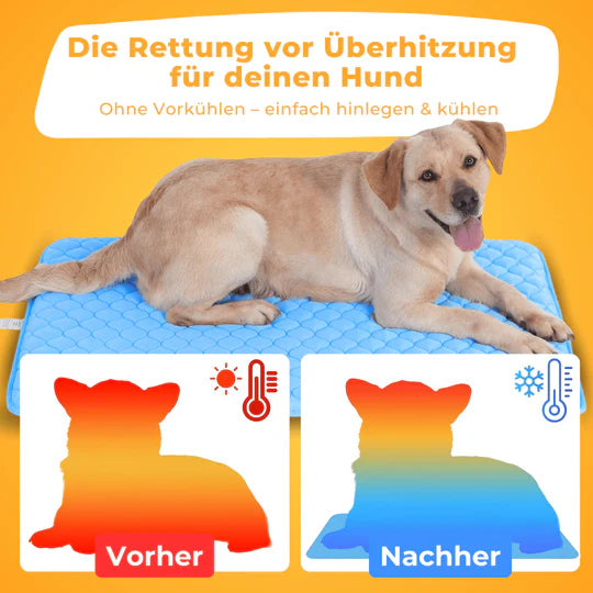 PfotenFrost - Der Bestseller
