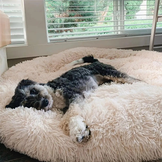 CalmiHund - Das beste Anti-Angst Hundebett