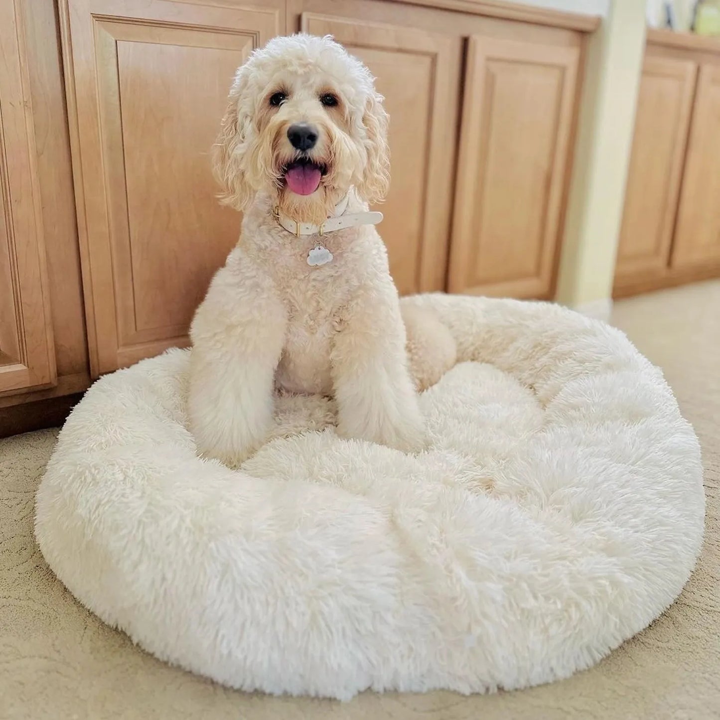 CalmiHund - Das beste Anti-Angst Hundebett