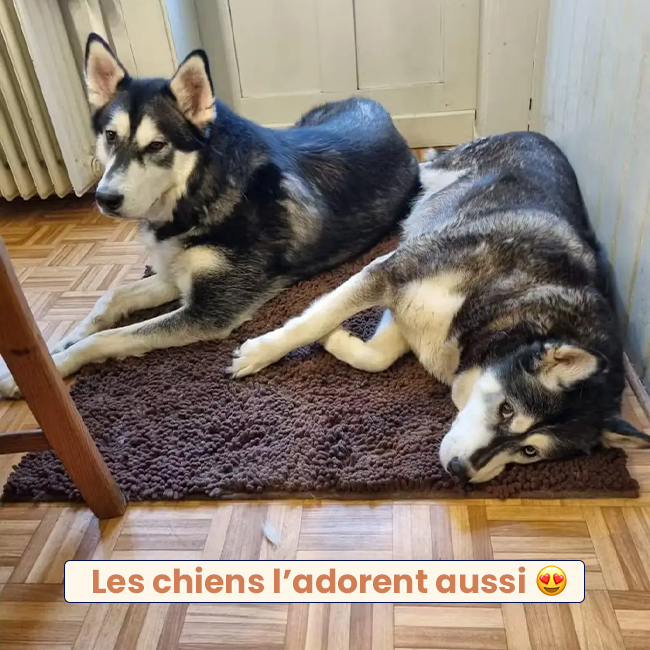 Tapis pour chien Novasta™