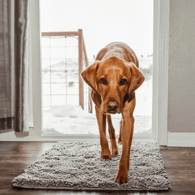 Tapis pour chien Novasta™