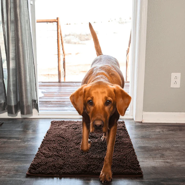 Tapis pour chien Novasta™