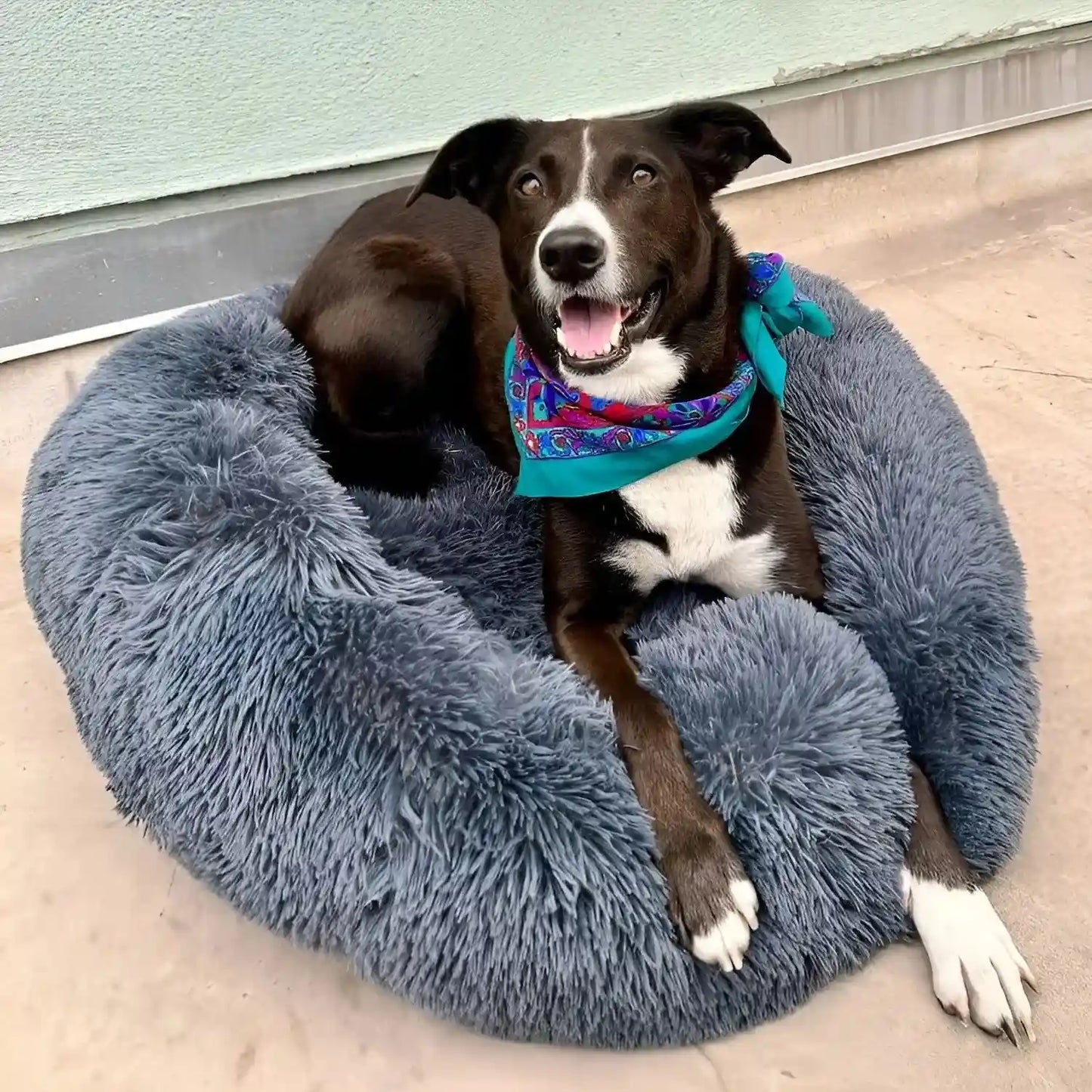 CalmiHund - Das beste Anti-Angst Hundebett
