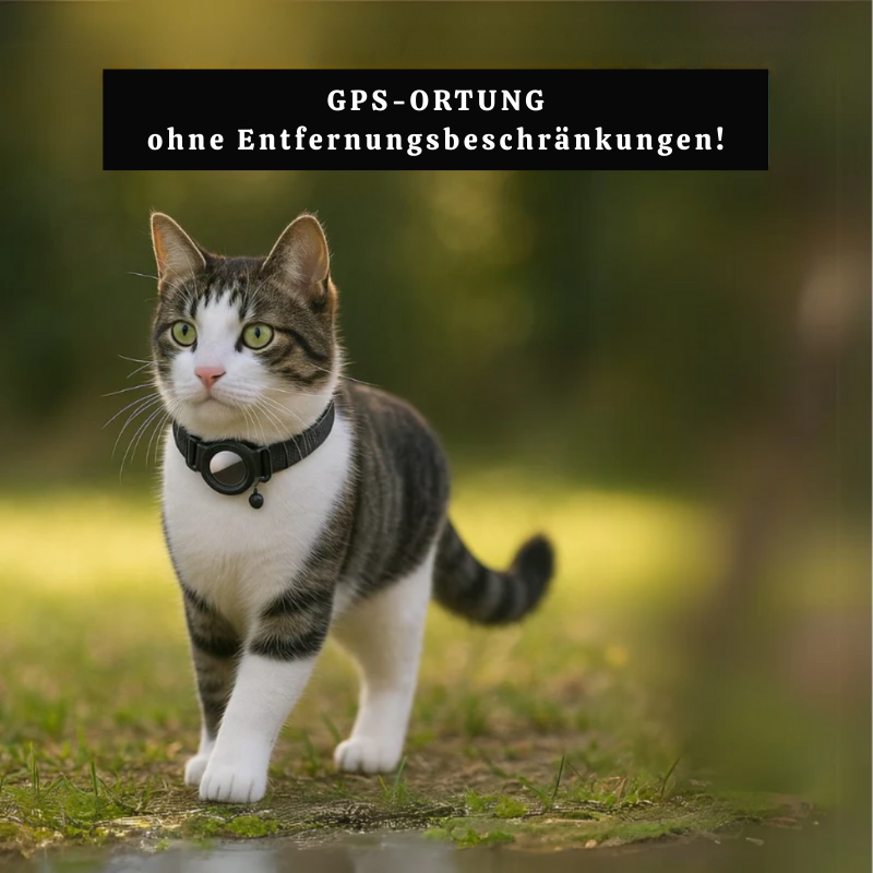 KaTrack™ – Intelligenter GPS-Haustier-Tracker