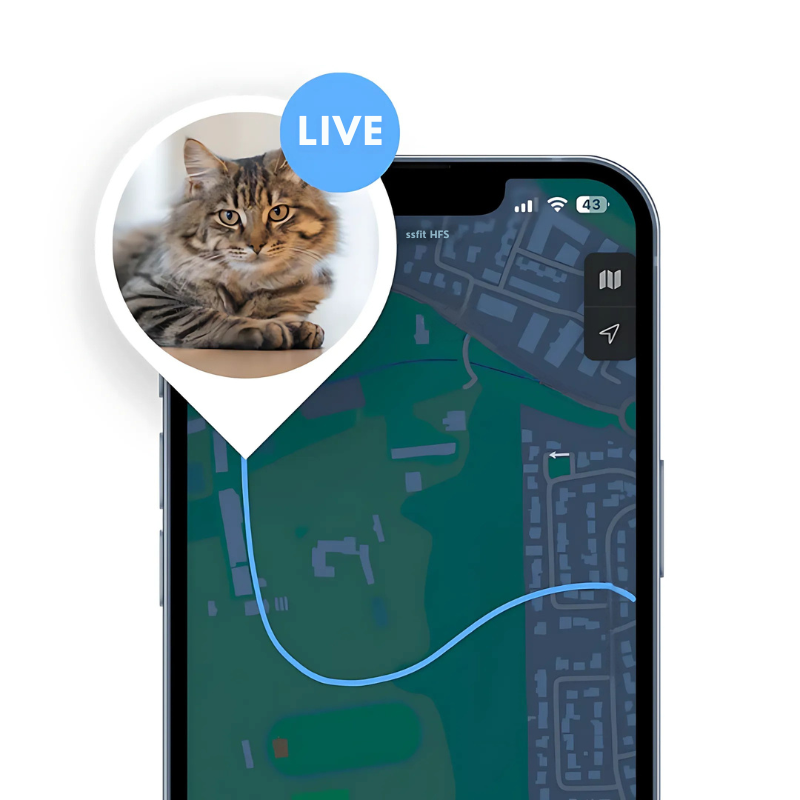 KaTrack™ – Intelligenter GPS-Haustier-Tracker