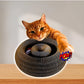 Katzenwirbel